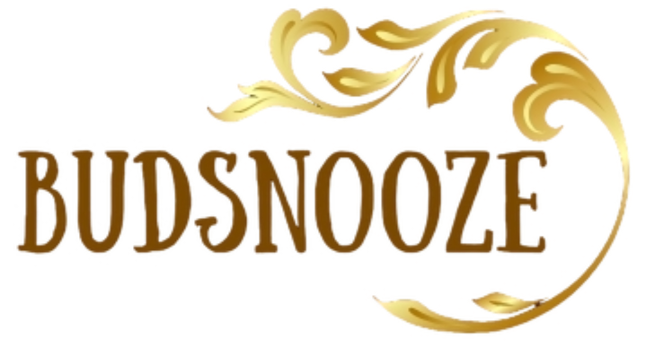 Logo of Budsnooze with decorative elements on a white background