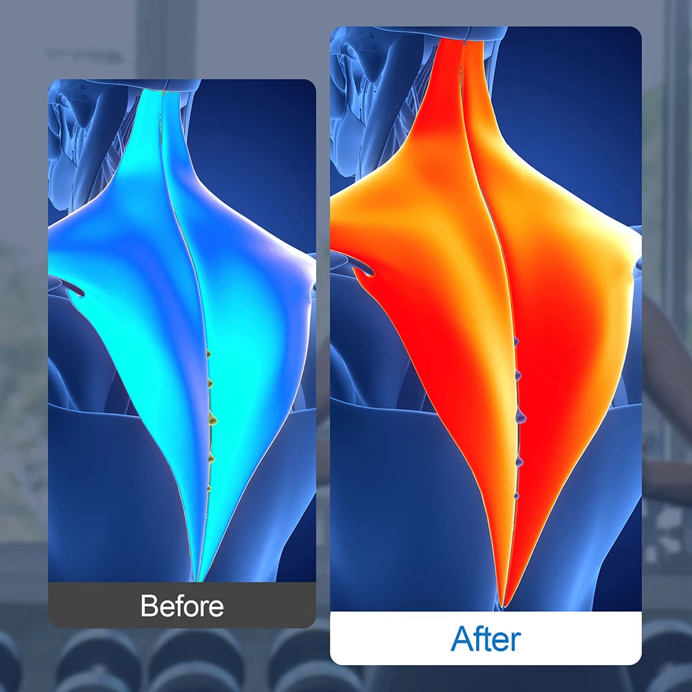 Before and after comparison of a anatomical model with highlighted changes.